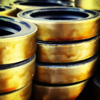 sims-oil-seals (4)